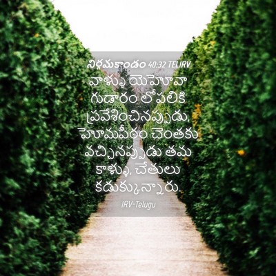 Picture 04 - నిర్గమకాండం 40:32 TELIRV - వాళ్ళు యెహోవా - Bible Verse Picture