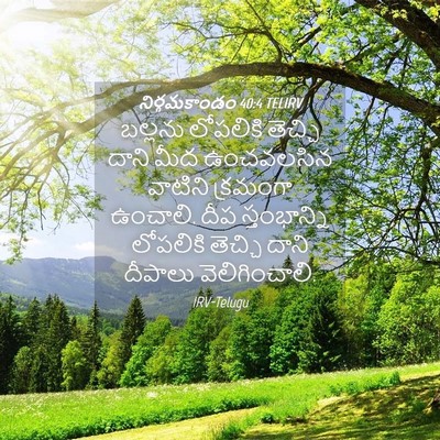 Picture 04 - నిర్గమకాండం 40:4 TELIRV - బల్లను లోపలికి - Bible Verse Picture