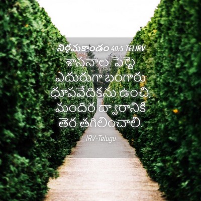 Picture 04 - నిర్గమకాండం 40:5 TELIRV - శాసనాల పెట్టె - Bible Verse Picture