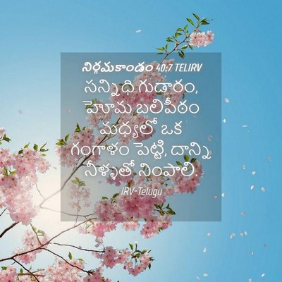 Picture 04 - నిర్గమకాండం 40:7 TELIRV - సన్నిధి గుడారం, - Bible Verse Picture