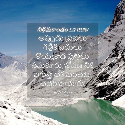 Picture 04 - నిర్గమకాండం 5:12 TELIRV - అప్పుడు ప్రజలు - Bible Verse Picture