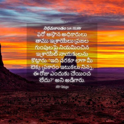 Picture 04 - నిర్గమకాండం 5:14 TELIRV - ఫరో ఆస్థాన - Bible Verse Picture