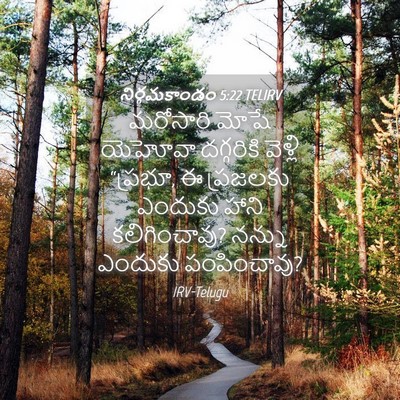 Picture 04 - నిర్గమకాండం 5:22 TELIRV - మరోసారి మోషే - Bible Verse Picture