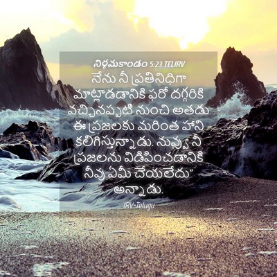 Picture 04 - నిర్గమకాండం 5:23 TELIRV - నేను నీ - Bible Verse Picture