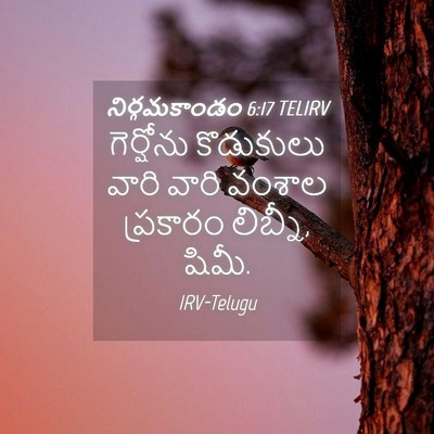 Picture 04 - నిర్గమకాండం 6:17 TELIRV - గెర్షోను కొడుకులు - Bible Verse Picture