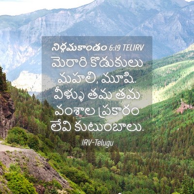 Picture 04 - నిర్గమకాండం 6:19 TELIRV - మెరారి కొడుకులు - Bible Verse Picture