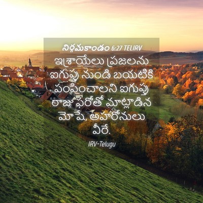 Picture 04 - నిర్గమకాండం 6:27 TELIRV - ఇశ్రాయేలు ప్రజలను - Bible Verse Picture