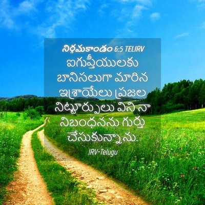 Picture 04 - నిర్గమకాండం 6:5 TELIRV - ఐగుప్తీయులకు - Bible Verse Picture
