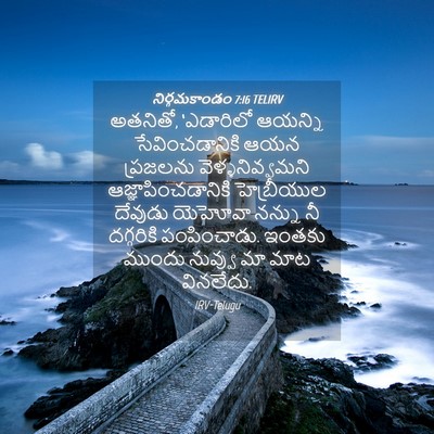 Picture 04 - నిర్గమకాండం 7:16 TELIRV - అతనితో, ‘ఎడారిలో - Bible Verse Picture