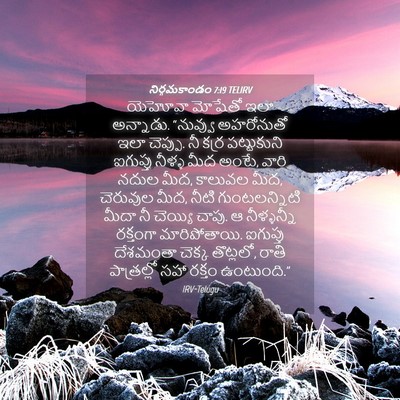 Picture 04 - నిర్గమకాండం 7:19 TELIRV - యెహోవా మోషేతో ఇలా - Bible Verse Picture