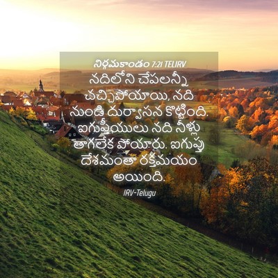 Picture 04 - నిర్గమకాండం 7:21 TELIRV - నదిలోని చేపలన్నీ - Bible Verse Picture