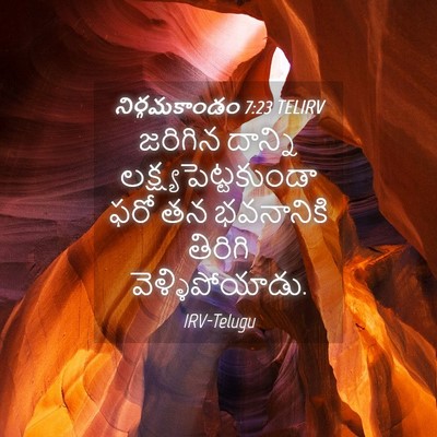 Picture 04 - నిర్గమకాండం 7:23 TELIRV - జరిగిన దాన్ని - Bible Verse Picture