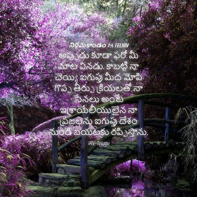 Picture 04 - నిర్గమకాండం 7:4 TELIRV - అప్పుడు కూడా ఫరో - Bible Verse Picture