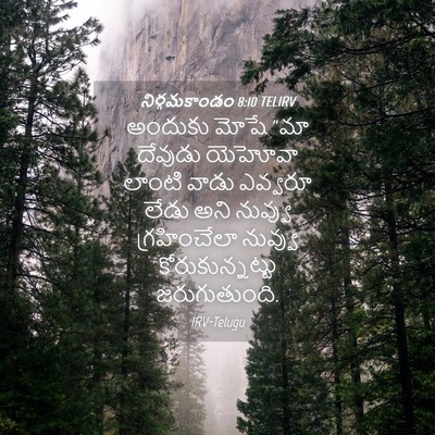 Picture 04 - నిర్గమకాండం 8:10 TELIRV - అందుకు మోషే “మా - Bible Verse Picture