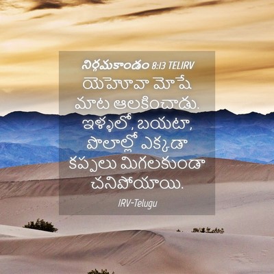 Picture 04 - నిర్గమకాండం 8:13 TELIRV - యెహోవా మోషే మాట - Bible Verse Picture