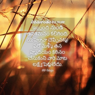 Picture 04 - నిర్గమకాండం 8:15 TELIRV - ఇబ్బంది నుండి - Bible Verse Picture