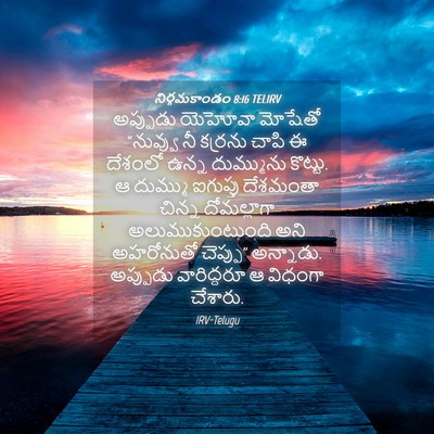 Picture 04 - నిర్గమకాండం 8:16 TELIRV - అప్పుడు యెహోవా - Bible Verse Picture