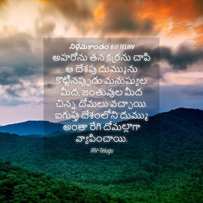 Picture 04 - నిర్గమకాండం 8:17 TELIRV - అహరోను తన కర్రను - Bible Verse Picture