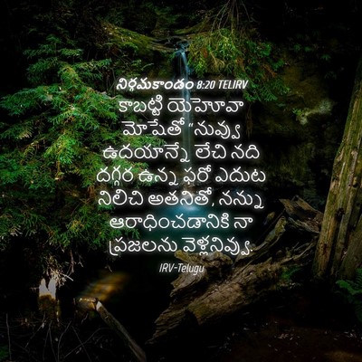 Picture 04 - నిర్గమకాండం 8:20 TELIRV - కాబట్టి యెహోవా - Bible Verse Picture