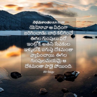 Picture 04 - నిర్గమకాండం 8:24 TELIRV - యెహోవా ఆ విధంగా - Bible Verse Picture