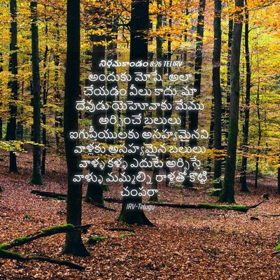 Picture 04 - నిర్గమకాండం 8:26 TELIRV - అందుకు మోషే “అలా - Bible Verse Picture
