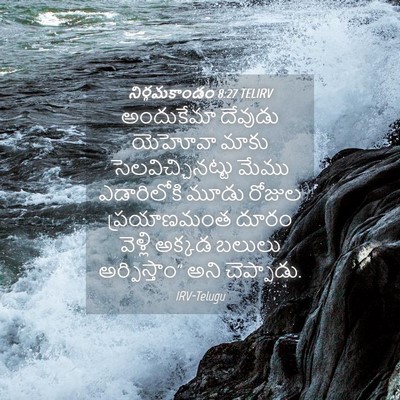 Picture 04 - నిర్గమకాండం 8:27 TELIRV - అందుకేమా దేవుడు - Bible Verse Picture