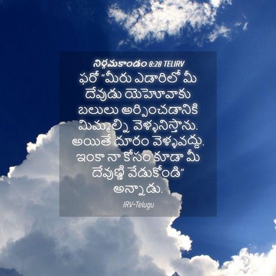 Picture 04 - నిర్గమకాండం 8:28 TELIRV - ఫరో “మీరు ఎడారిలో - Bible Verse Picture