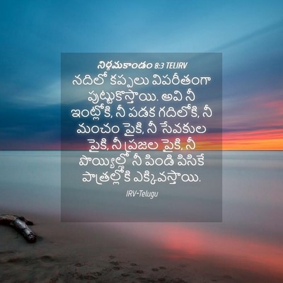 Picture 04 - నిర్గమకాండం 8:3 TELIRV - నదిలో కప్పలు - Bible Verse Picture