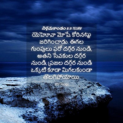 Picture 04 - నిర్గమకాండం 8:31 TELIRV - యెహోవా మోషే - Bible Verse Picture