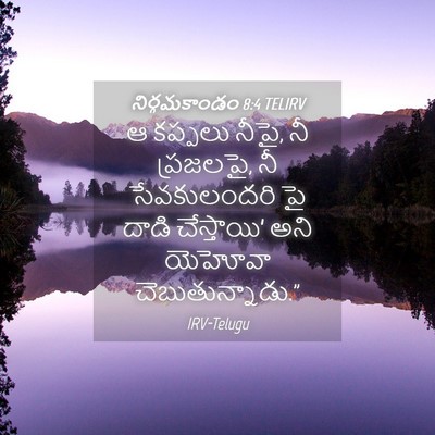 Picture 04 - నిర్గమకాండం 8:4 TELIRV - ఆ కప్పలు నీపై, నీ - Bible Verse Picture