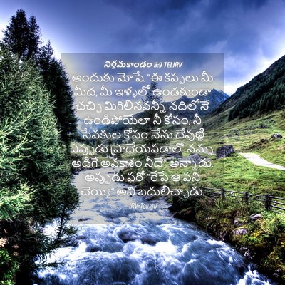 Picture 04 - నిర్గమకాండం 8:9 TELIRV - అందుకు మోషే “ఈ - Bible Verse Picture