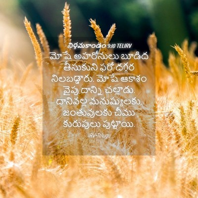 Picture 04 - నిర్గమకాండం 9:10 TELIRV - మోషే అహరోనులు - Bible Verse Picture