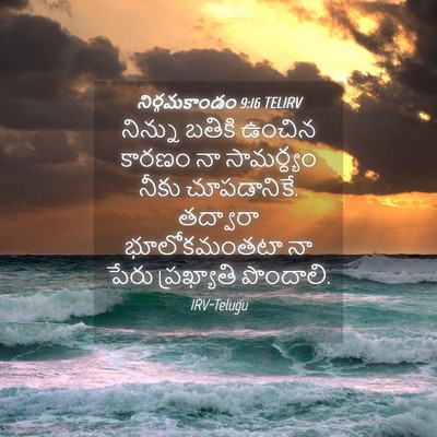 Picture 04 - నిర్గమకాండం 9:16 TELIRV - నిన్ను బతికి - Bible Verse Picture