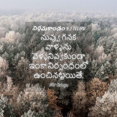 Picture 04 - నిర్గమకాండం 9:2 TELIRV - నువ్వు గనక - Bible Verse Picture