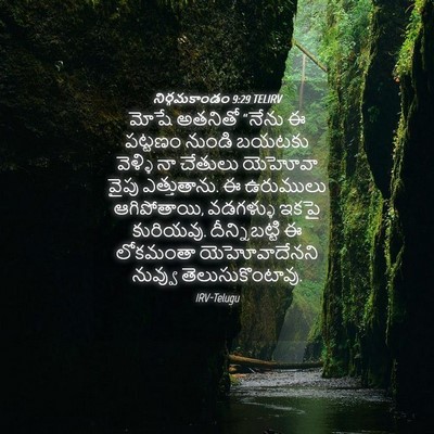 Picture 04 - నిర్గమకాండం 9:29 TELIRV - మోషే అతనితో “నేను - Bible Verse Picture
