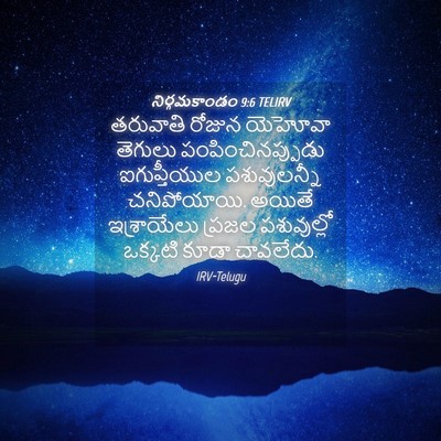 Picture 04 - నిర్గమకాండం 9:6 TELIRV - తరువాతి రోజున - Bible Verse Picture