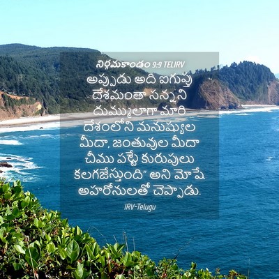 Picture 04 - నిర్గమకాండం 9:9 TELIRV - అప్పుడు అది - Bible Verse Picture