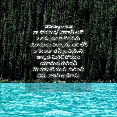 Picture 04 - నెహెమ్యా 1:2 TELIRV - నా సోదరుల్లో - Bible Verse Picture