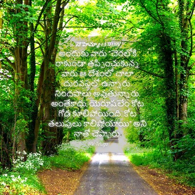 Picture 04 - నెహెమ్యా 1:3 TELIRV - అందుకు వారు - Bible Verse Picture
