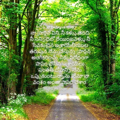 Picture 04 - నెహెమ్యా 1:6 TELIRV - నా ప్రార్థన విని, - Bible Verse Picture