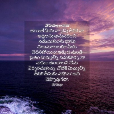 Picture 04 - నెహెమ్యా 1:9 TELIRV - అయితే మీరు నా వైపు - Bible Verse Picture