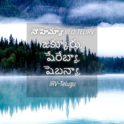 Picture 04 - నెహెమ్యా 10:12 TELIRV - జక్కూరు, షేరేబ్యా, - Bible Verse Picture