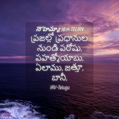 Picture 04 - నెహెమ్యా 10:14 TELIRV - ప్రజల్లో ప్రధానుల - Bible Verse Picture