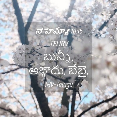 Picture 04 - నెహెమ్యా 10:15 TELIRV - బున్నీ, అజ్గాదు, - Bible Verse Picture