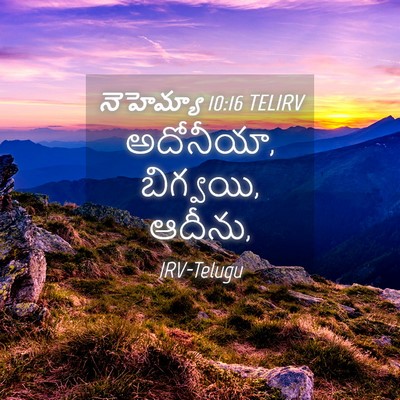 Picture 04 - నెహెమ్యా 10:16 TELIRV - అదోనీయా, బిగ్వయి, - Bible Verse Picture