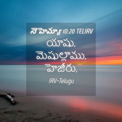 Picture 04 - నెహెమ్యా 10:20 TELIRV - యాషు, మెషుల్లాము, - Bible Verse Picture
