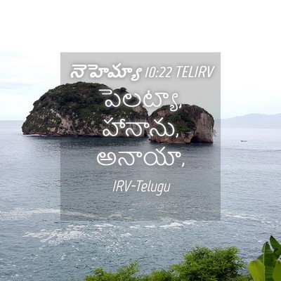 Picture 04 - నెహెమ్యా 10:22 TELIRV - పెలట్యా, హానాను, - Bible Verse Picture