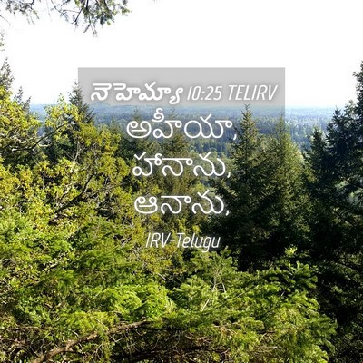 Picture 04 - నెహెమ్యా 10:25 TELIRV - అహీయా, హానాను, - Bible Verse Picture