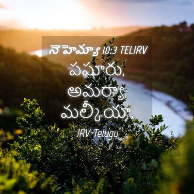 Picture 04 - నెహెమ్యా 10:3 TELIRV - పషూరు, అమర్యా, - Bible Verse Picture