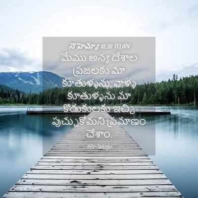 Picture 04 - నెహెమ్యా 10:30 TELIRV - మేము అన్య దేశాల - Bible Verse Picture